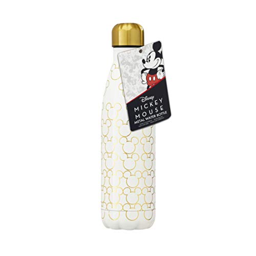 Funko Disney Metal Water Bottle, Stainless Steel, Multicolour, 500 ml
