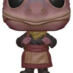 Funko Star Wars The Mandalorian Frog Lady #487 Special Edition